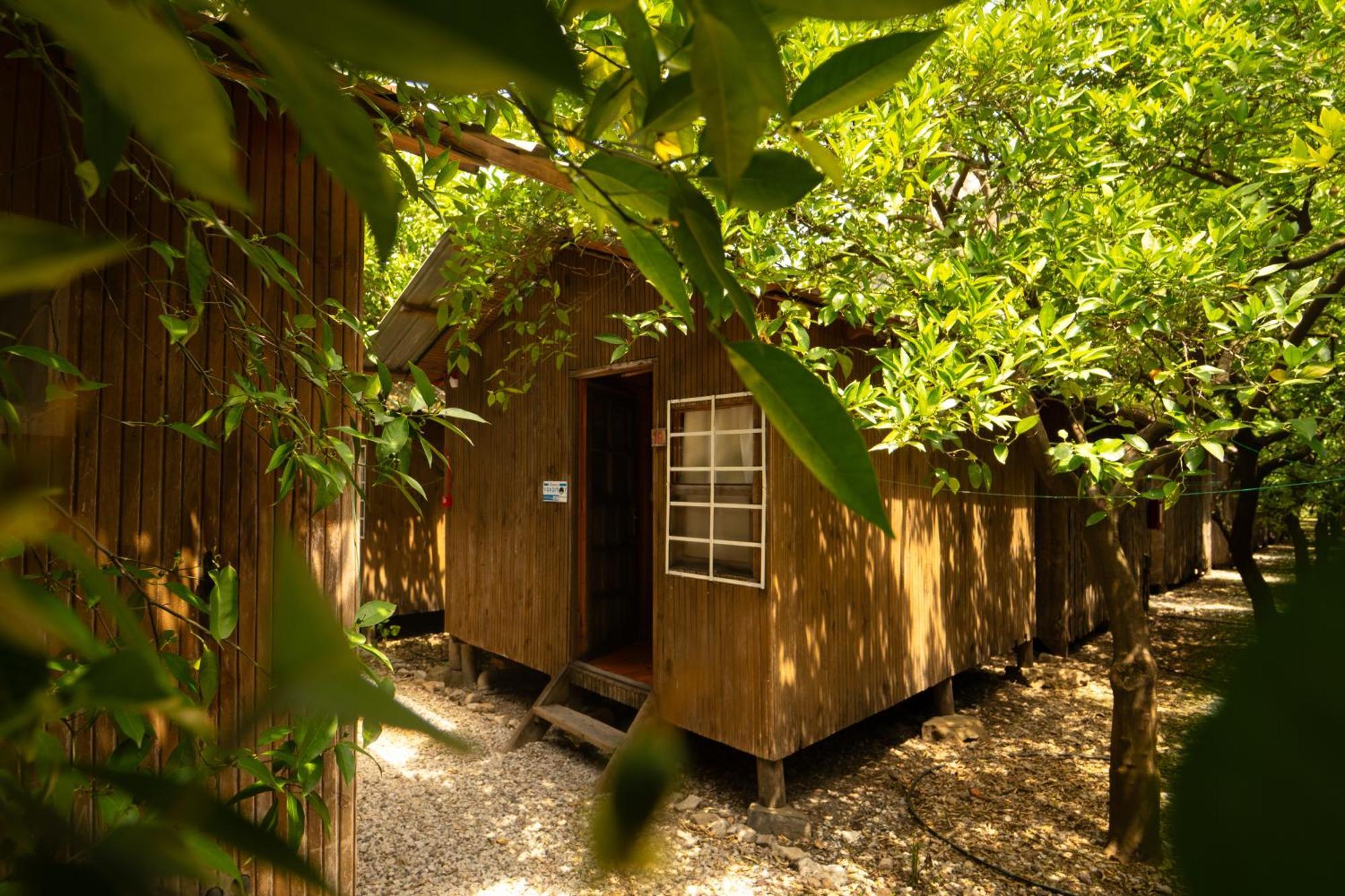 Olympos Yakamoz Pansiyon Exterior photo