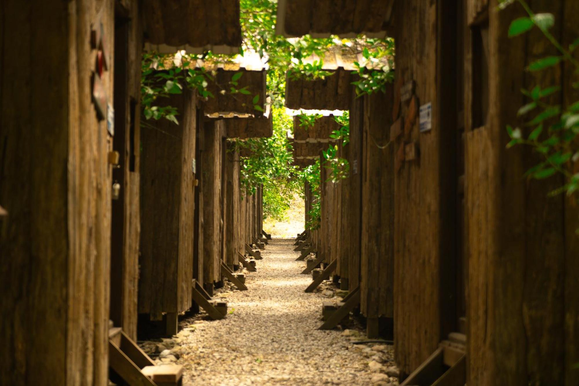 Olympos Yakamoz Pansiyon Exterior photo