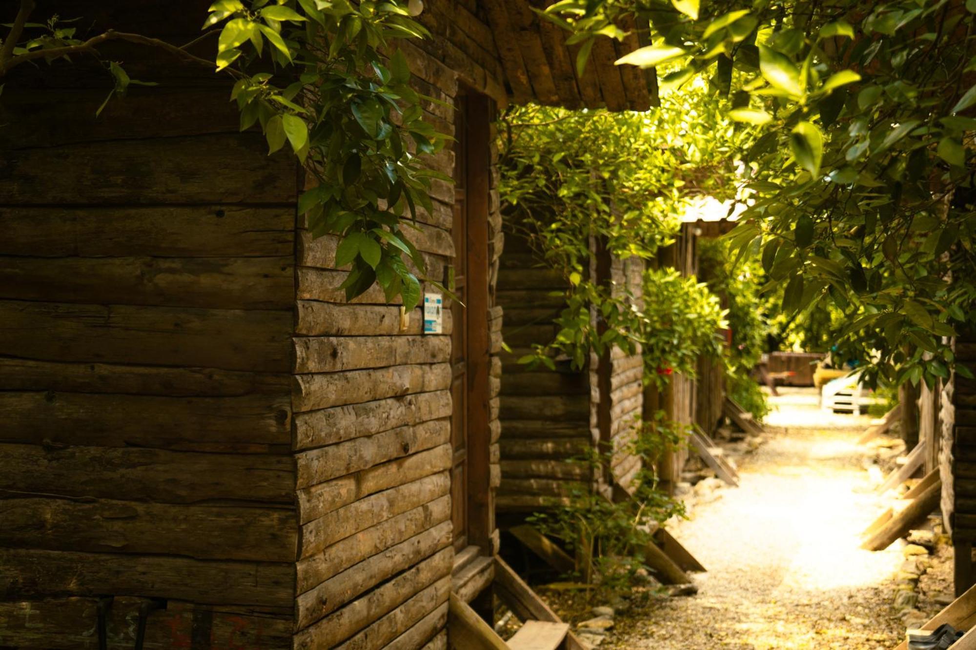 Olympos Yakamoz Pansiyon Exterior photo