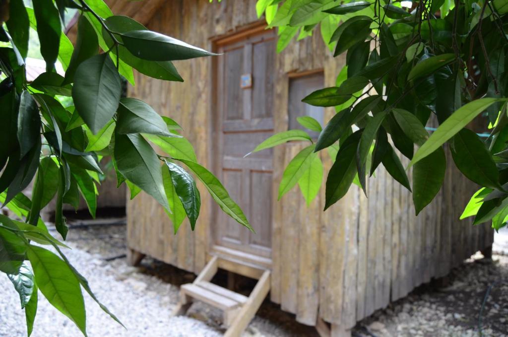 Olympos Yakamoz Pansiyon Room photo