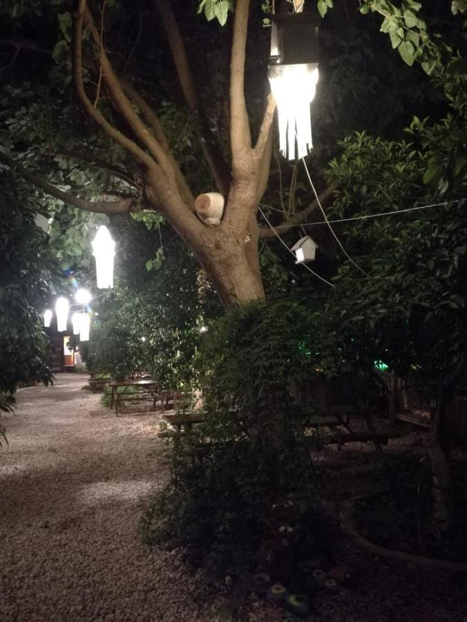 Olympos Yakamoz Pansiyon Exterior photo