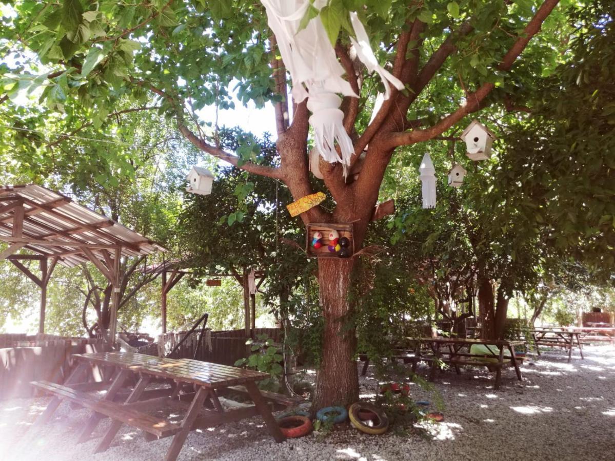 Olympos Yakamoz Pansiyon Exterior photo