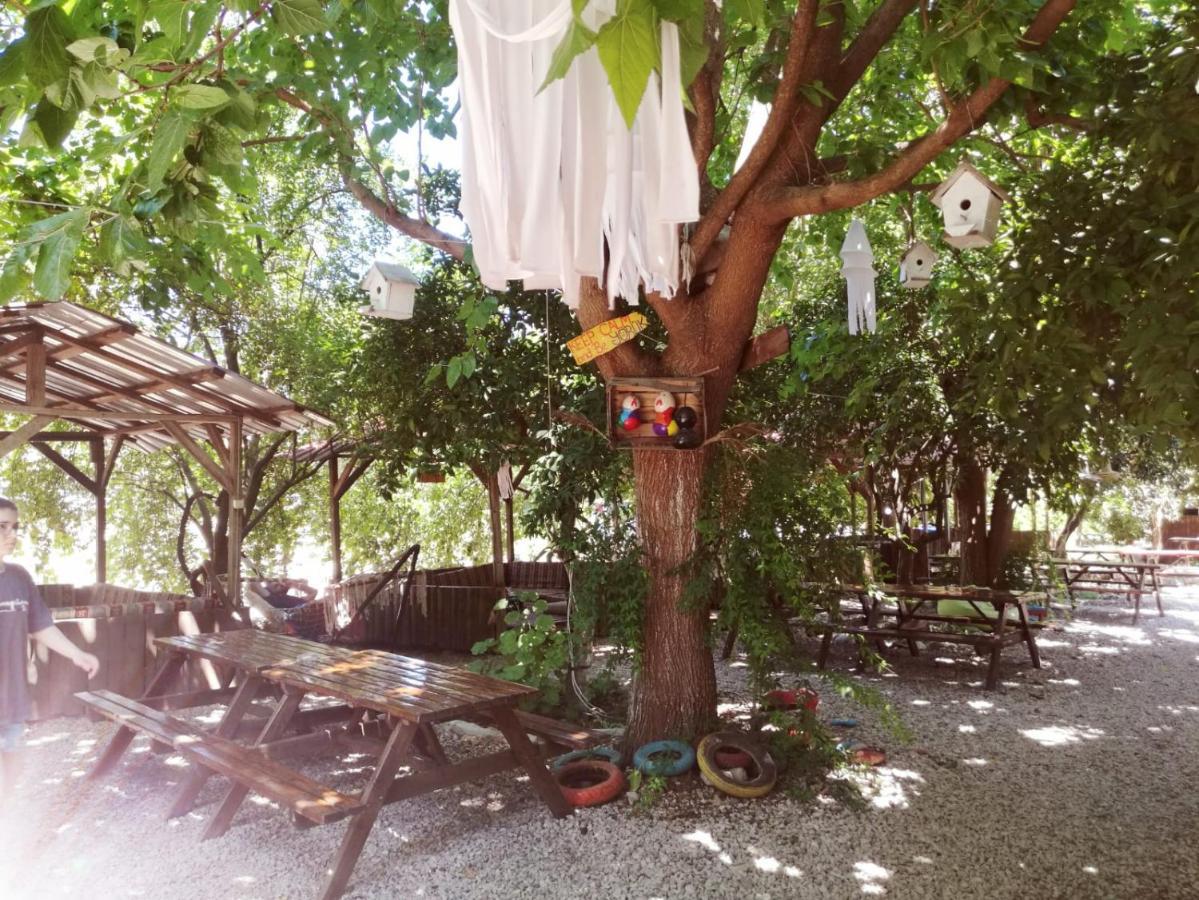 Olympos Yakamoz Pansiyon Exterior photo